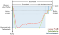 Vorschaubild der Version vom 14. September 2018, 08:19 Uhr